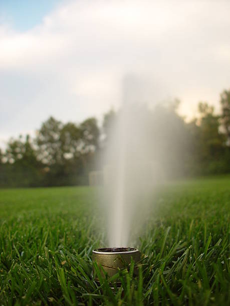 Lone Sprinkler stock photo