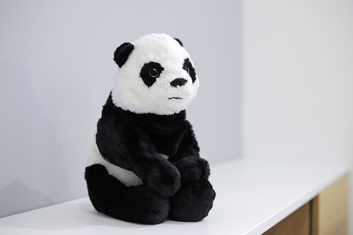 Funny plush toy panda sits on a shelf