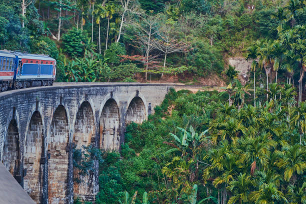 istock Nine arch bridge and railway in the jungle 1392568331