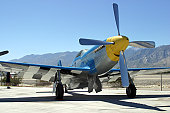 p-51-mustang.jpg?b=1&s=170x170&k=20&c=WI