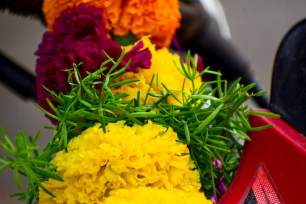 A beautiful colorful flowers ,close up of a bunch of flowers