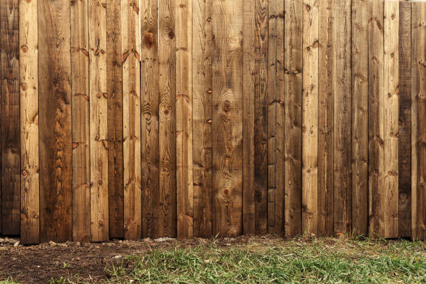 istock Backyard wooden fence as copy space and background 1392569524
