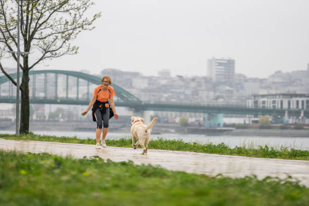 istock Woman playing with her dog 1392569790