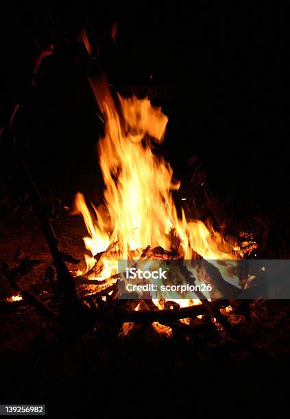 Fogueira De Acampamento - Fotografias de stock e mais imagens de Acampar - Acampar, Adulto, Ao Ar Livre