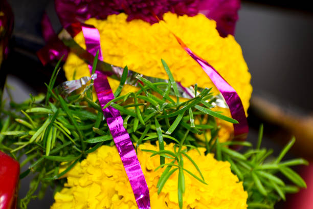 istock A beautiful colorful flowers 1392570459