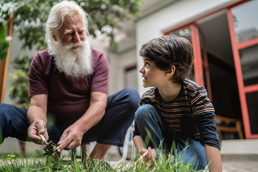 Boy and grandfather gardening together at home