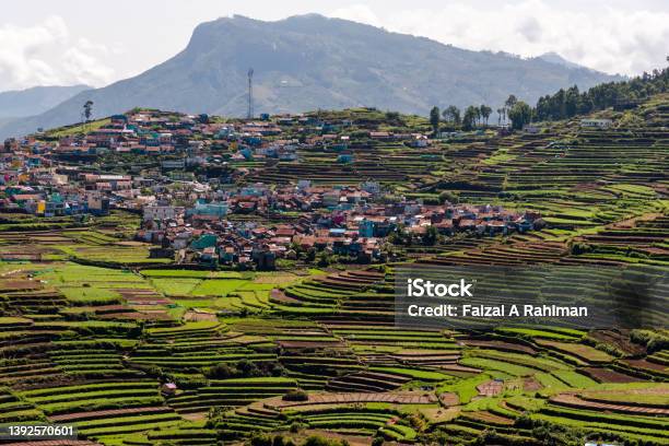 Kodaikanal Village Terrace Farming Stock Photo - Download Image Now - Agricultural Field, Agriculture, Asia
