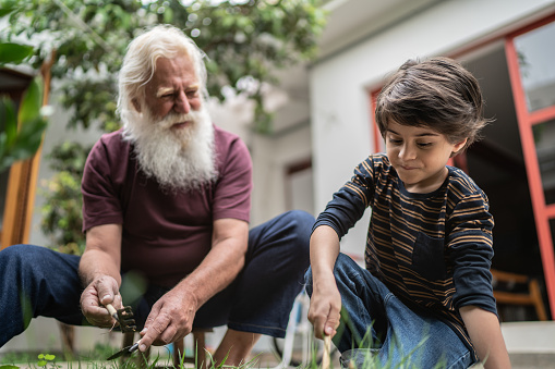 Boy and grandfather gardening together at home