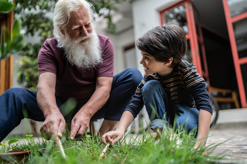 Boy and grandfather gardening together at home