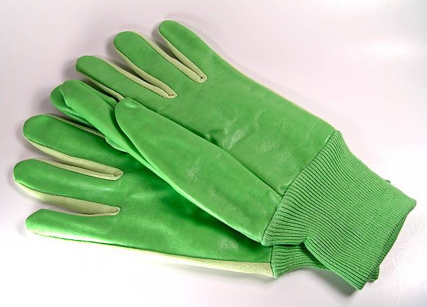 istock Gardening Gloves 139257167