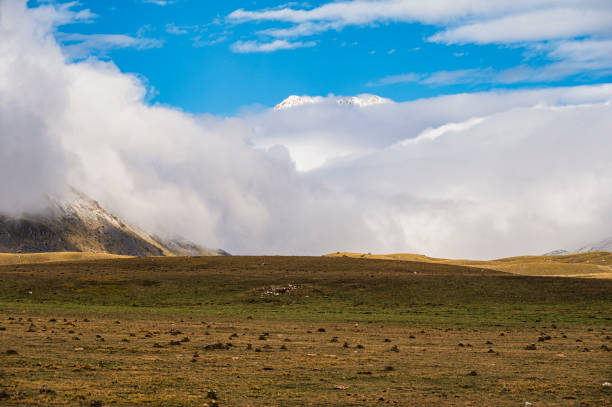 гран-сассо и монти-делла-лага национальный парк - apennines beauty in nature grass plateau стоковые фото и изображения