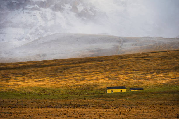 gran sasso e della laga park narodowy monti - apennines beauty in nature grass plateau zdjęcia i obrazy z banku zdjęć