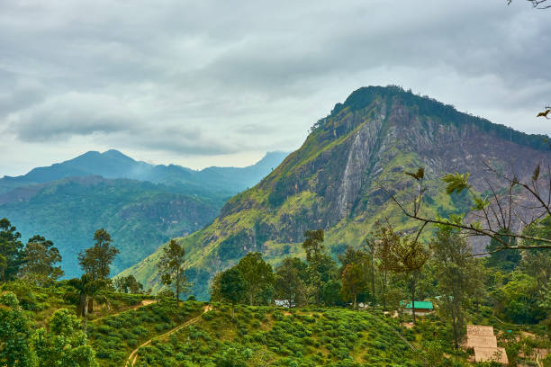 istock Mountains in the jungle, tropical forest from above 1392573596