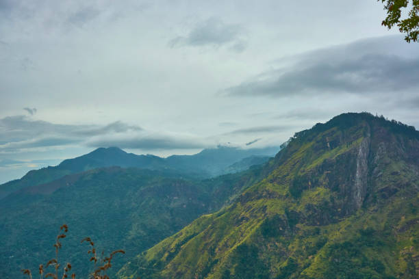 istock Mountains in the jungle, tropical forest from above 1392573807