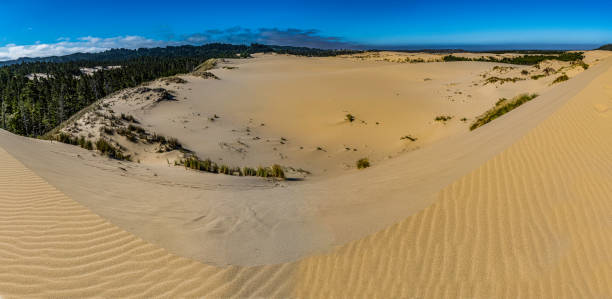 the oregon dunes national recreation area is located on the oregon coast and adjoining honeyman state park on the west. it is part of siuslaw national forest. - honeymoon imagens e fotografias de stock