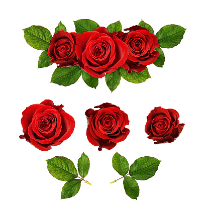 Red rose flowers in a floral arrangement isolated on white