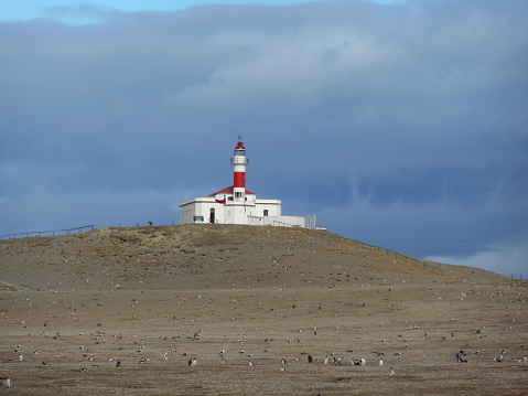 A lighthouse stands in sharp contrast to the penguin nature preserve on an island Chilean national park.