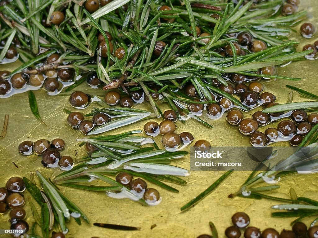 Травы в оливковое масло - Стоковые фото Без людей роялти-фри