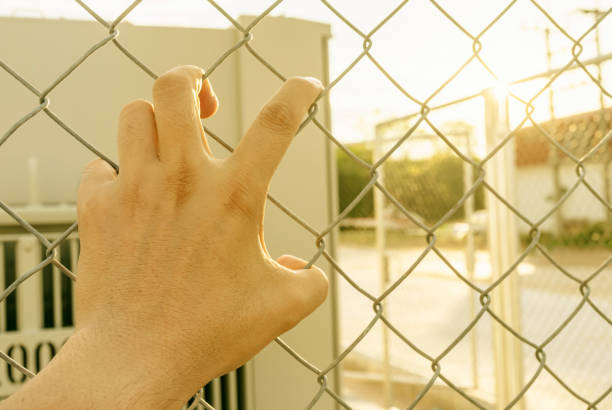 istock Someone's hand on the iron grid was like a desperate wait. hand catching iron grid, imprison or need freedom feeling. Mesh fencing to prevent outsiders from encroaching on personal spaces. 1392579910
