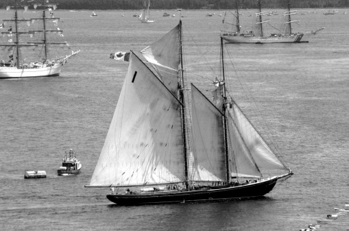 The Bluenose II is known as the fastest sailing schooner, part of tall ships parade 2004, Halifax, Nova Scotia, Canada, North America