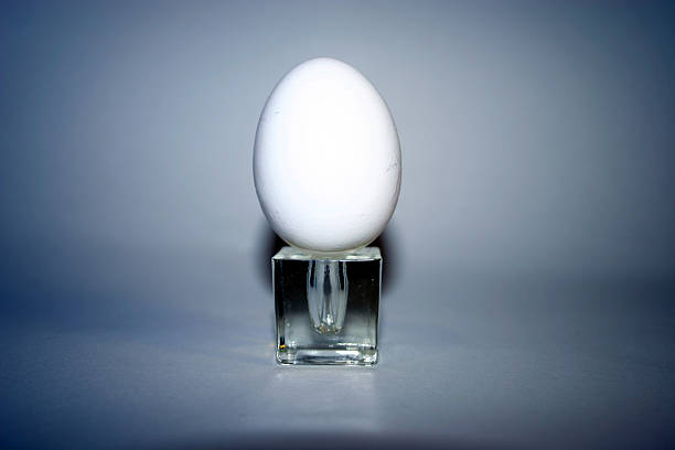 The Egg stock photo