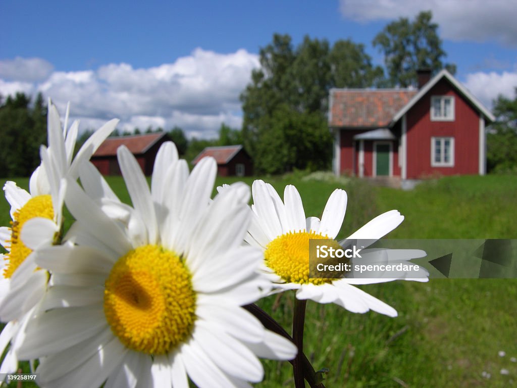 Schweden farmy - Lizenzfrei Gartenlaube Stock-Foto