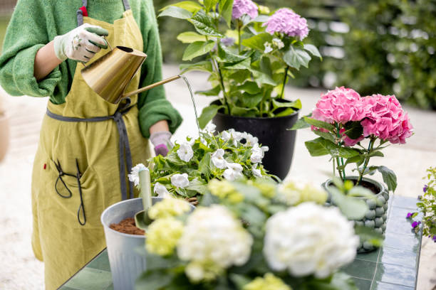istock Woman watering flowers with watering can 1392582151
