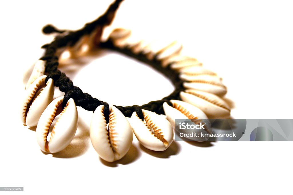 Beach Shell Necklace A shell necklace focus on the front. Animal Shell Stock Photo