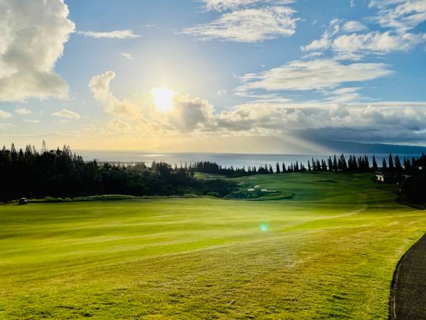 istock Kapalua Plantation 1392584911