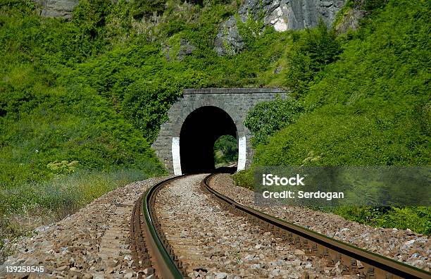 Tunnel Stock Photo - Download Image Now - Bannister, Grass, Gravel