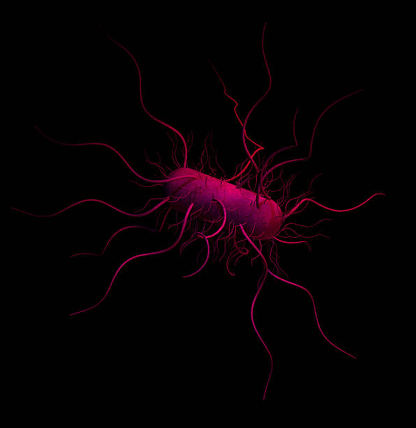 Cтоковое фото Sinister бактерий
