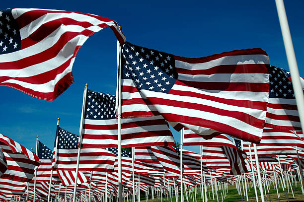 istock Various US flags in honor of a memorial 139258739