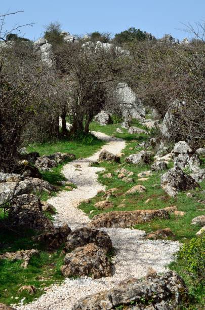 istock Camino de piedras 1392587823
