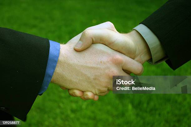 Deal Maker Stock Photo - Download Image Now - Adult, Blue, Business