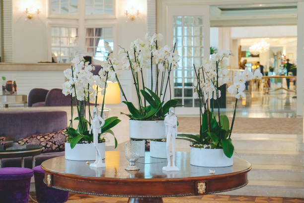 istock Luxury five stars hotel's lobby 1392592974