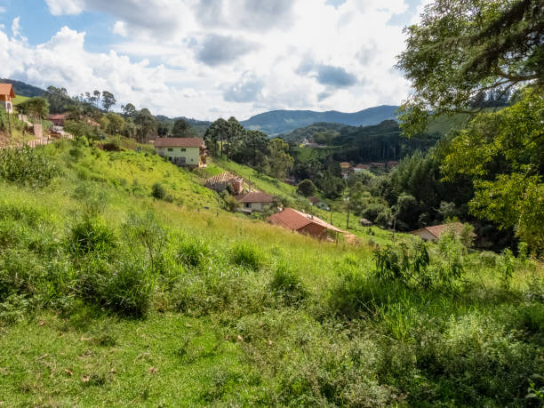 istock Rural landscape in Monte Verde 1392593065