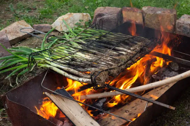 Sweet onions known as "calçots" in a barbecue. Typical catalan food.