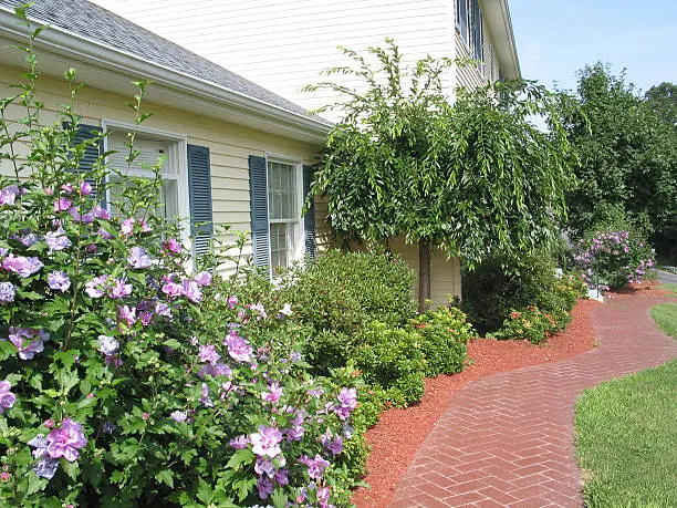 Close Up of Flowers and Walkway in front of a Home in Full Bloom