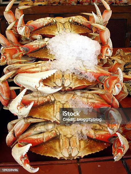 Frische Crab Stockfoto und mehr Bilder von Krabbe - Krabbe, Alaska - US-Bundesstaat, Fischen