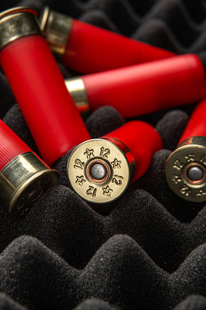 istock Shotgun shells on foam rubber. Ammunition for 12 gauge smoothbore weapons. Hunting ammunition. Dark background. 1392595847