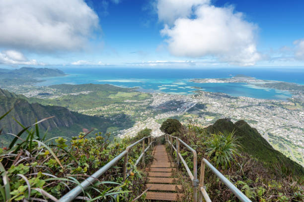 exuberantes escenas de montaña desde un sendero de cresta en oahu, hawái - escalera hacia el cielo fotografías e imágenes de stock