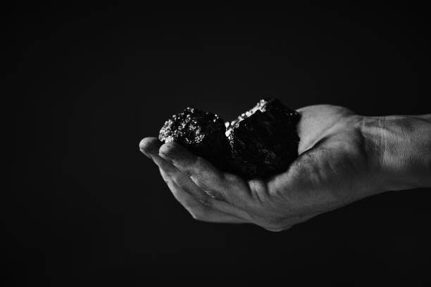 istock Dirty hands miner holding coal in black and white photo.Heavy coal mining. 1392602743