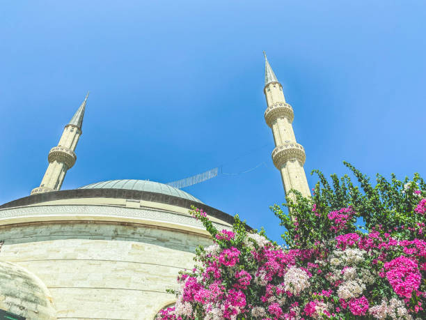 una mezquita en flores contra un cielo azul y brillante. belleza del país extranjero, religión musulmana. fe en poderes superiores, construcción de piedra - sunset in islamic country fotografías e imágenes de stock