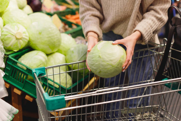 woman puts head of fresh young cabbage in shopping trolley at grocery market - head cabbage imagens e fotografias de stock