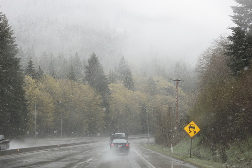 Duncan, Canada - April 10, 2022: Traffic heads north of Duncan during slippery conditions on the Trans-Canada Highway. Spring morning through a forested area in North Cowichan.