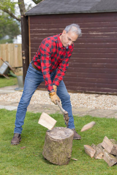 istock Man in his late 50s splitting logs 1392607712
