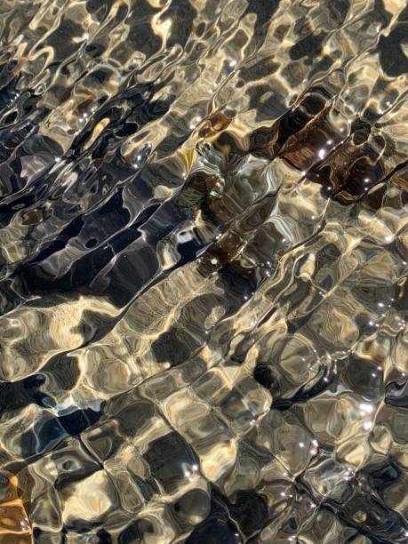 istock Ripples in the tidepool 1392612605