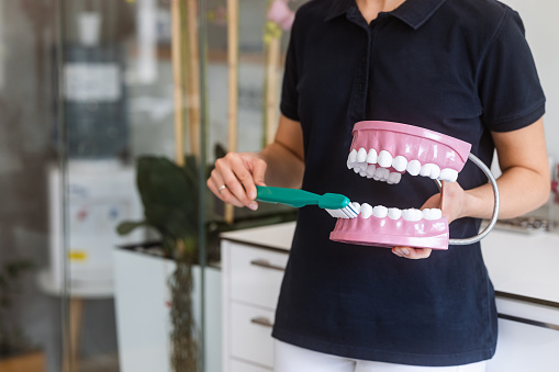 An unrecognizable dentist shows the proper way of brushing teeth on a plastic model.