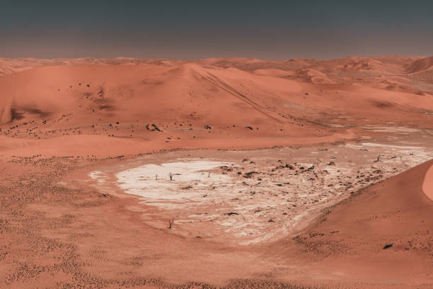 istock Sossusvlei, Namib-Naukluft Park, Namibia 1392613206