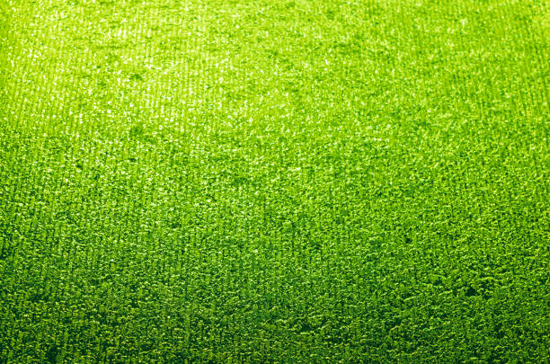 Beautiful view of gradient abstract structure green background.